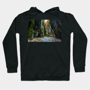 River in limestone canyon Hoodie